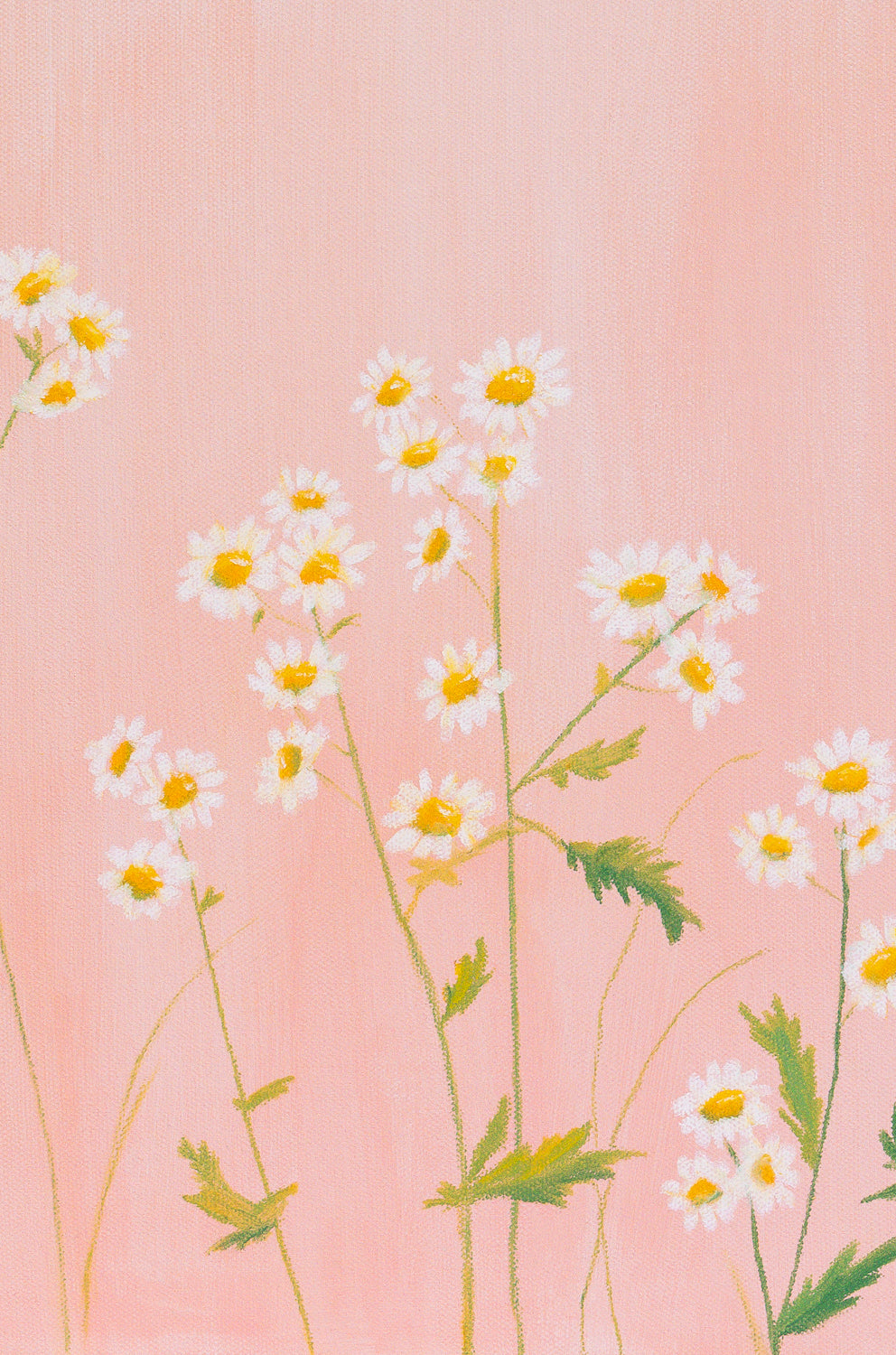 "Soft Landing" Original - 36x24"