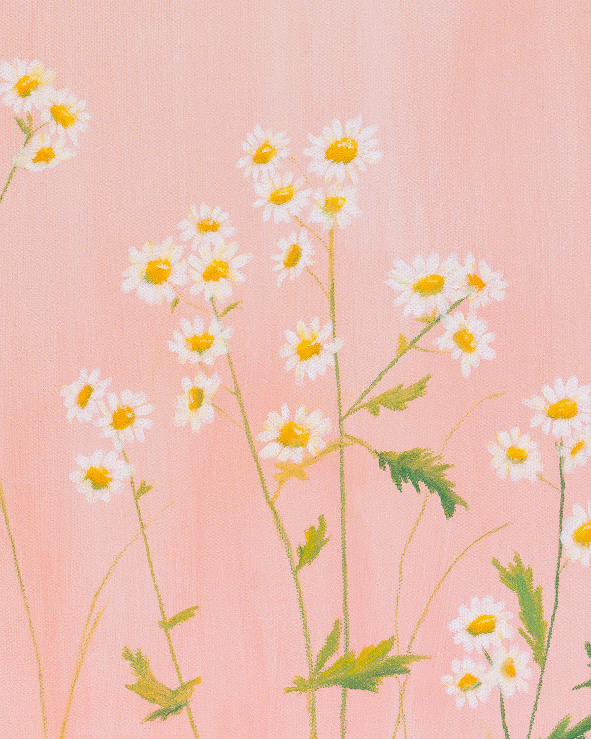 "Soft Landing" Print