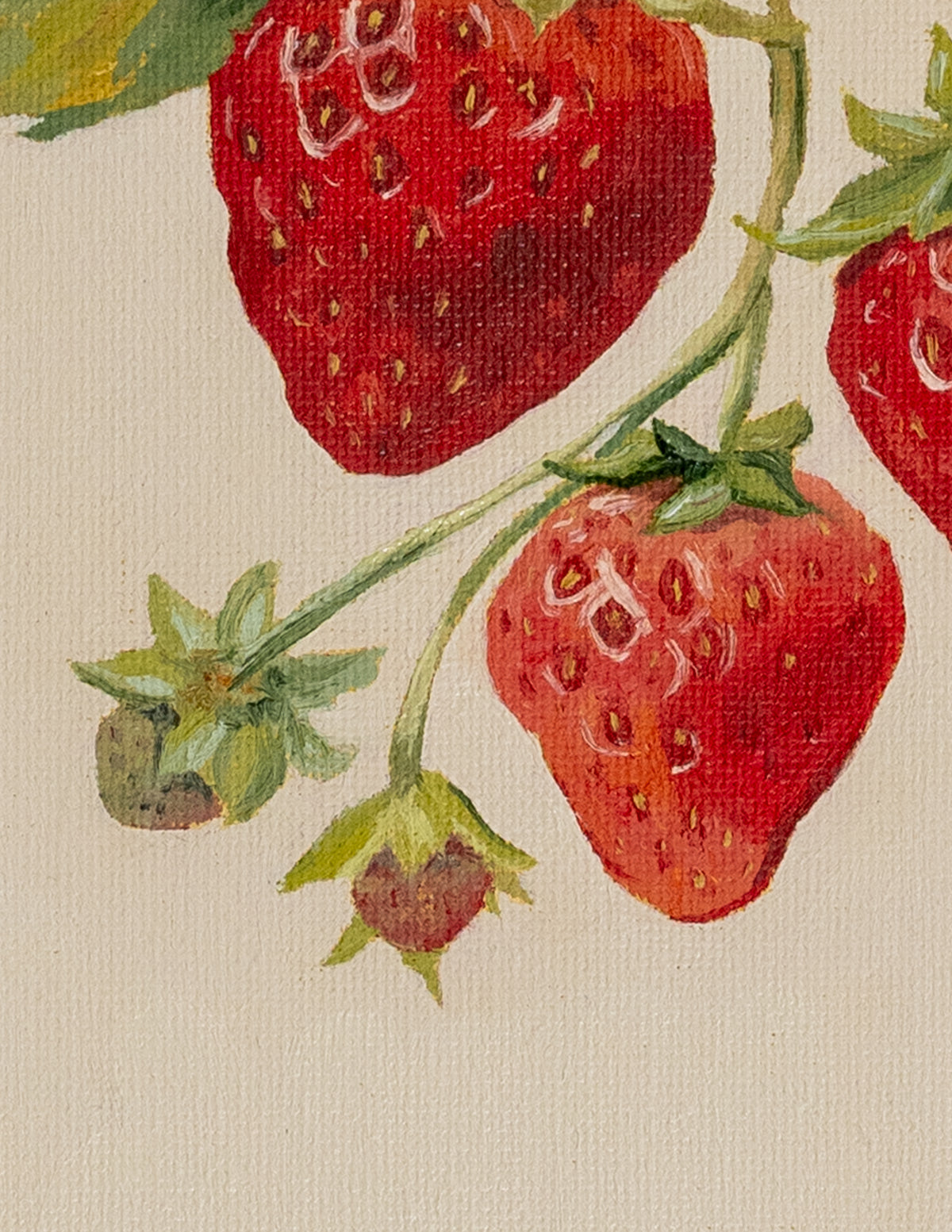"June's Pick" Original Oil Painting - 8x10"