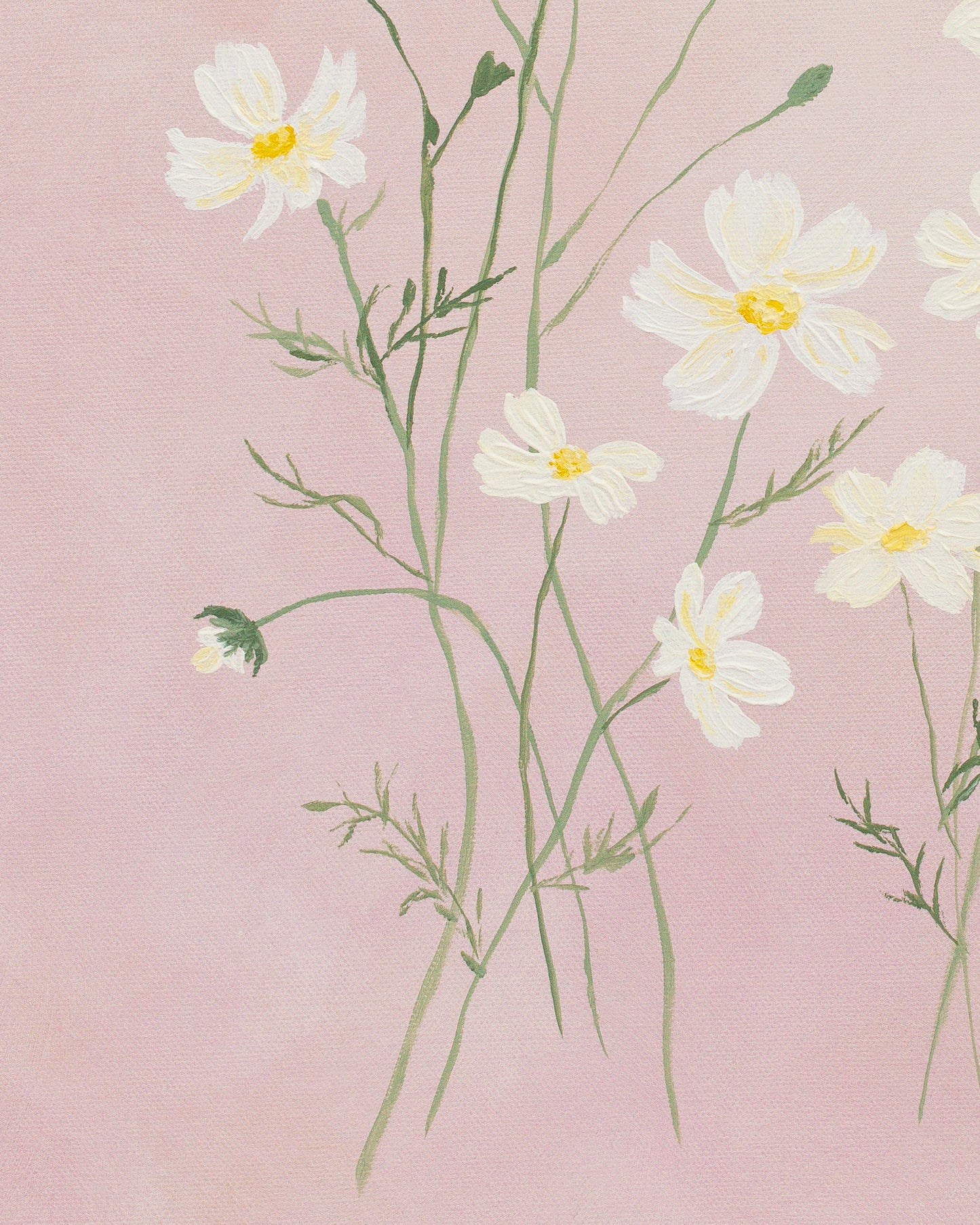 "Subtle Blush" Print