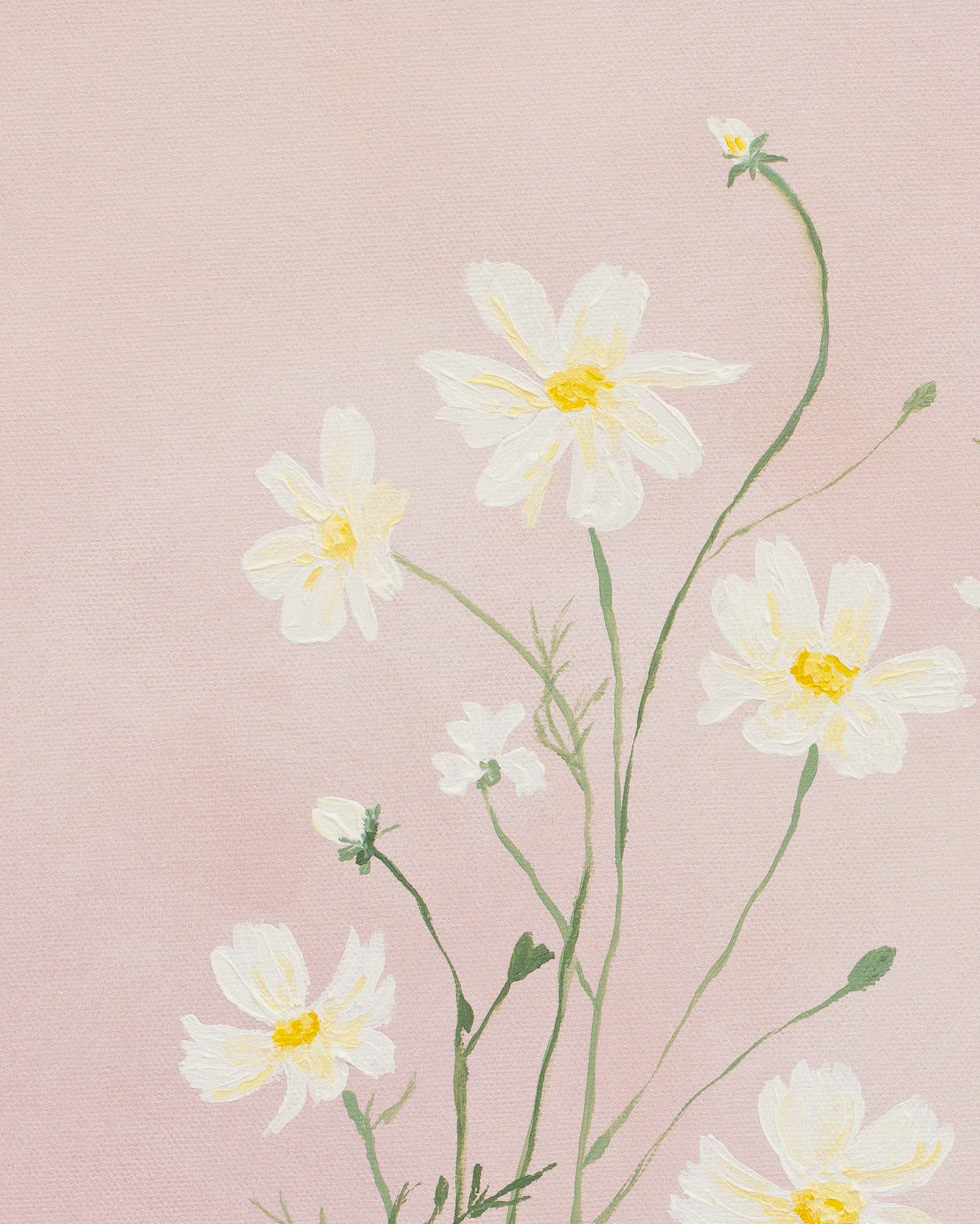 "Subtle Blush" Print